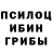 Галлюциногенные грибы GOLDEN TEACHER Conrad Kretschmer