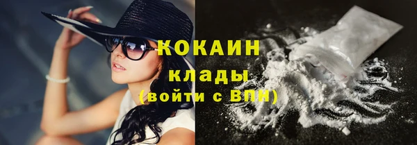 стаф Коряжма