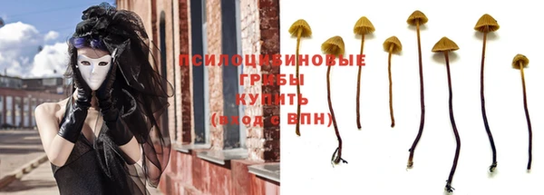 стаф Коряжма