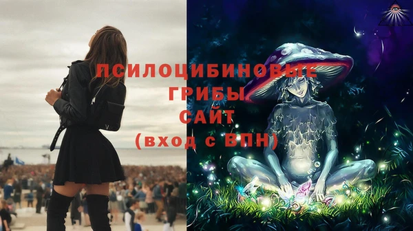 гидропоника Костерёво