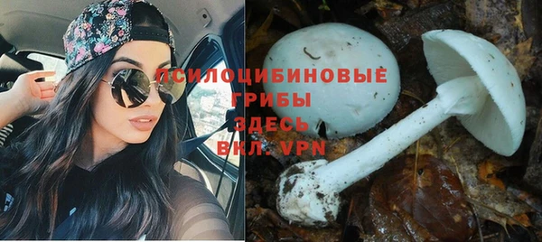 apvp Корсаков