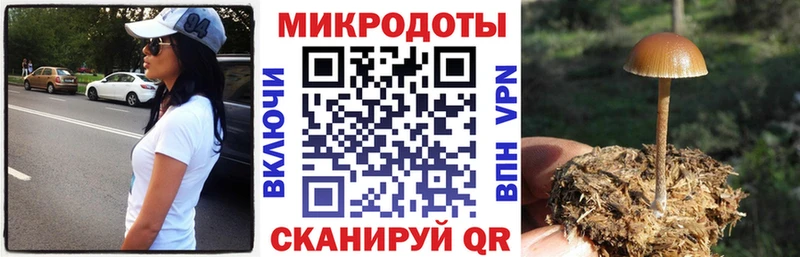 Галлюциногенные грибы GOLDEN TEACHER  купить наркотик  Родники 