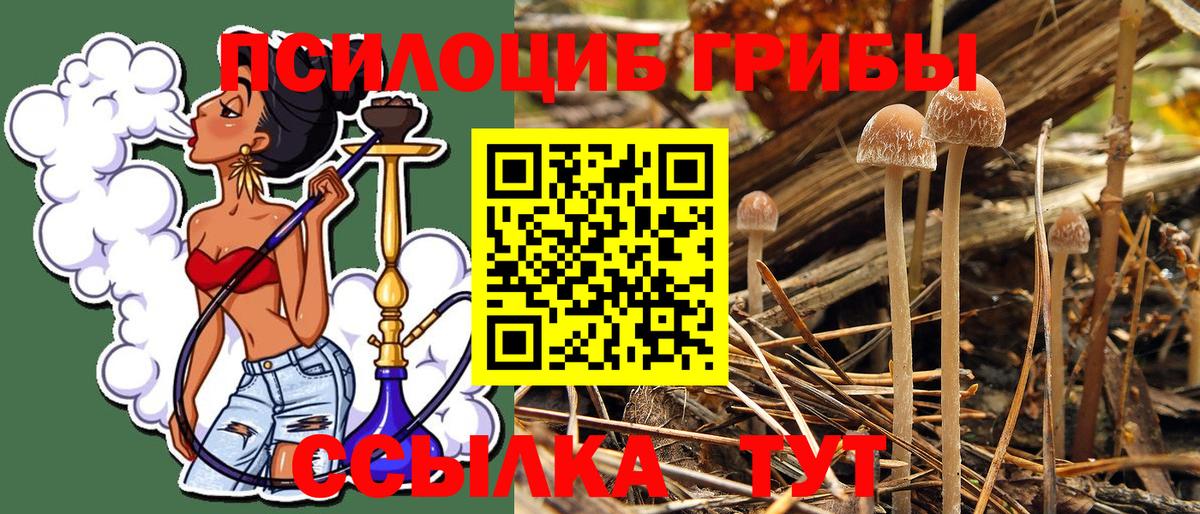 Псилоцибиновые грибы MAGIC MUSHROOMS Родники