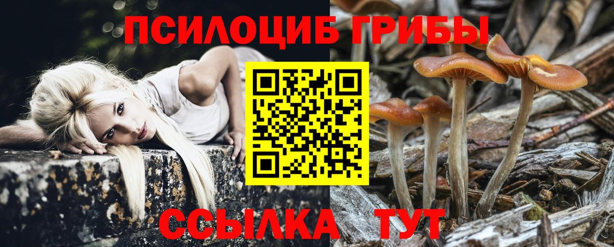 Псилоцибиновые грибы мухоморы  Родники 